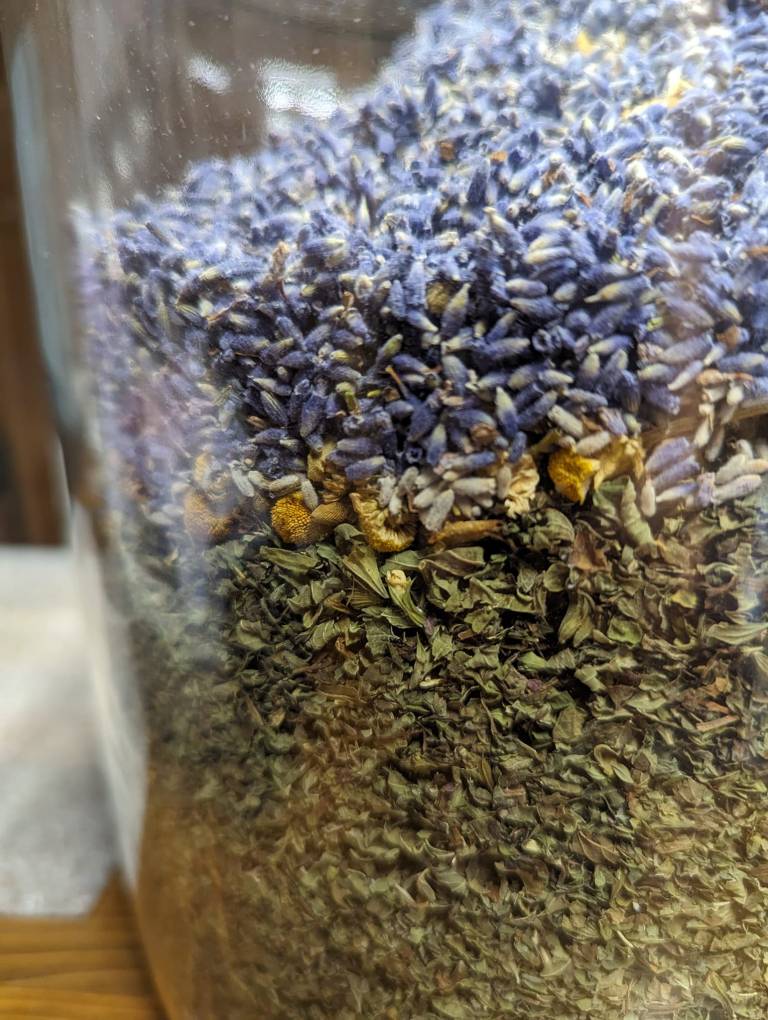 June Bloom Lavender Lavender Buds 768x1020