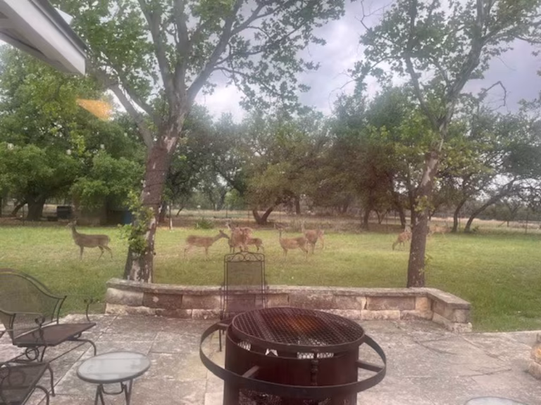 4cc39ca6 fcf6 4e70 a0dd ab025ea6f3f8 768x576