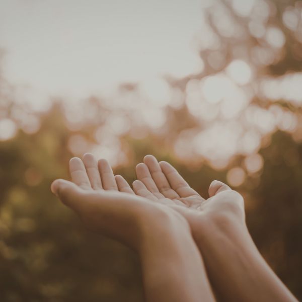 Community Worship JC Wildflower Festival 2026