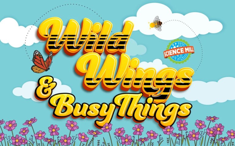 wild wings and busy things logo 768x478