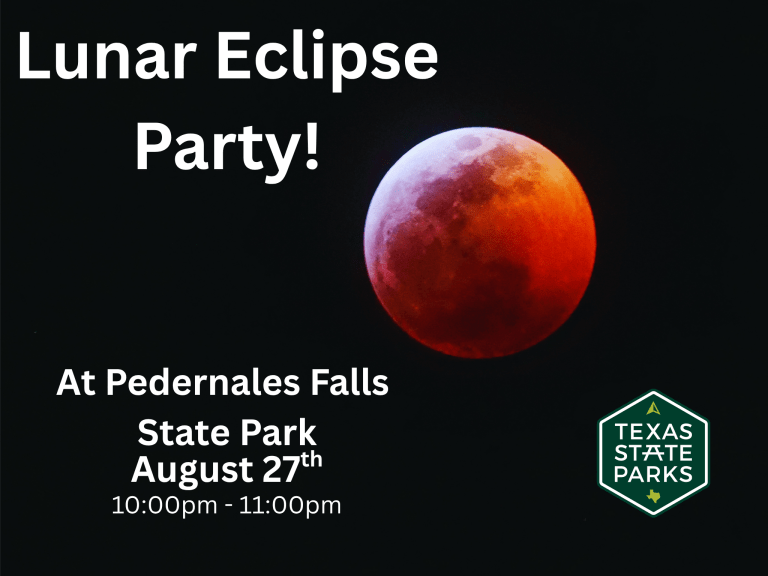 Lunar Eclipse Party 1 768x576